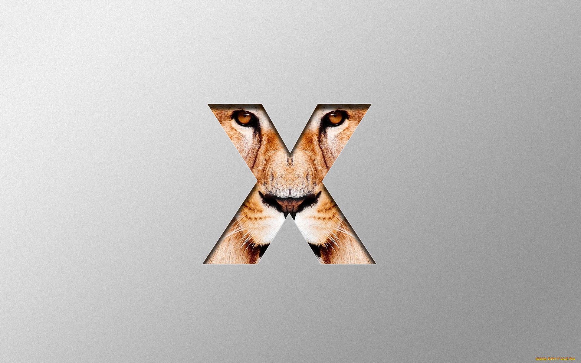 , mac, os